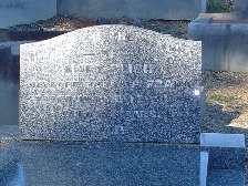 Full-size image