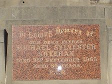 Full-size image
