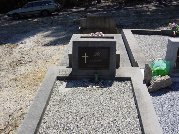 Full-size image