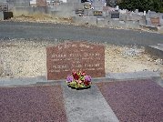 Full-size image