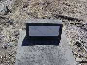 Full-size image