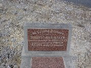 Full-size image