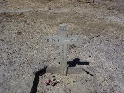 Full-size image