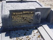 Full-size image