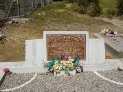 Full-size image