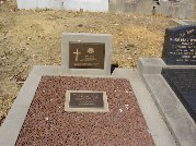 Full-size image