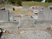 Full-size image