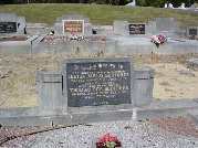 Full-size image