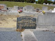 Full-size image