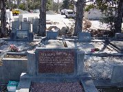 Full-size image