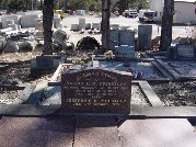 Full-size image