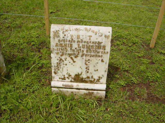Full-size image