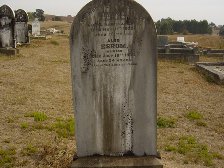 Full-size image