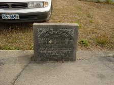 Full-size image