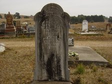 Full-size image