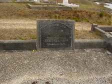 Full-size image
