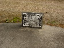 Full-size image