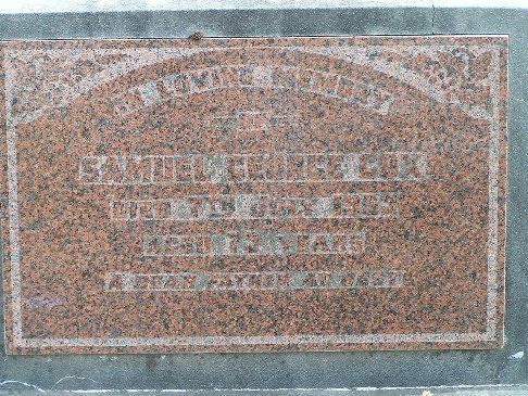 Full-size image