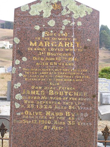 Full-size image