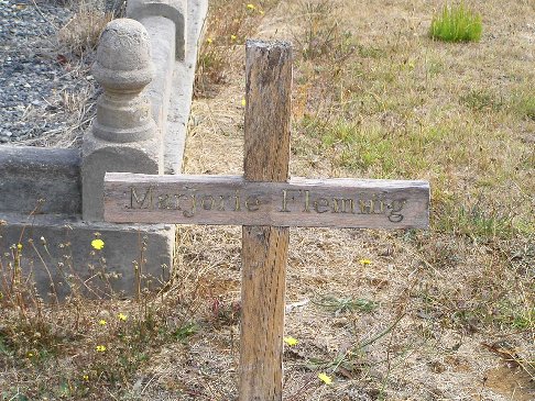 Full-size image