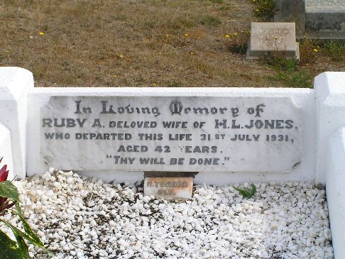 Full-size image