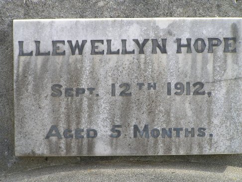 Full-size image