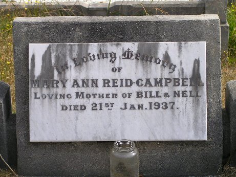 Full-size image