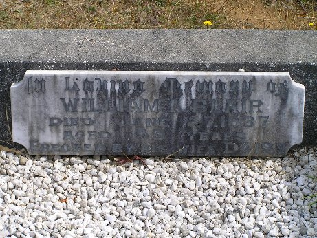 Full-size image