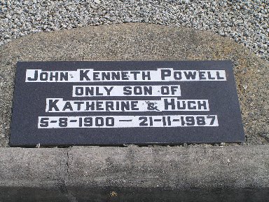 Full-size image