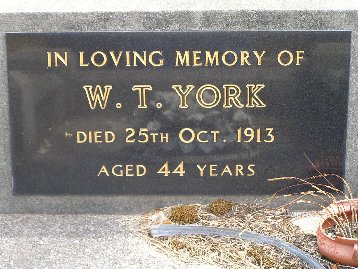 Full-size image