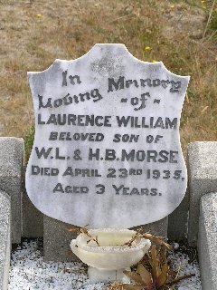 Full-size image