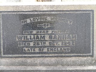 Full-size image