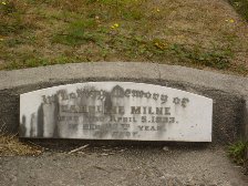 Full-size image