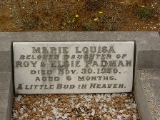Full-size image