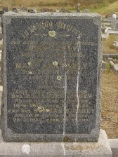 Full-size image