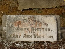 Full-size image