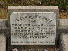 Full-size image