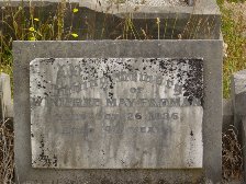 Full-size image