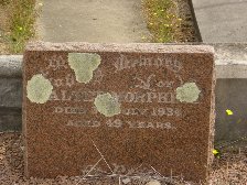 Full-size image