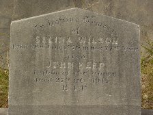 Full-size image