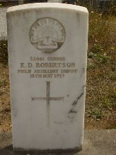 Full-size image