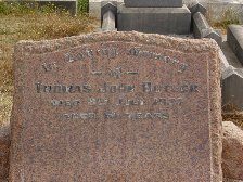 Full-size image
