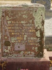 Full-size image