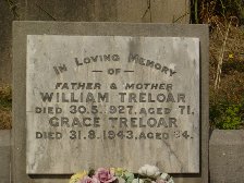 Full-size image