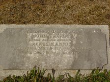 Full-size image