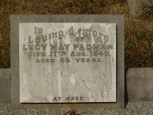 Full-size image