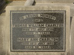 Full-size image