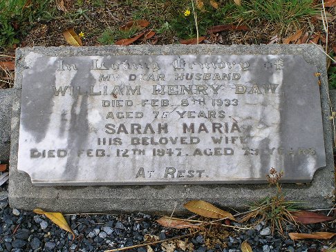 Full-size image