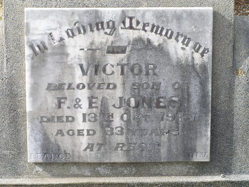 Full-size image