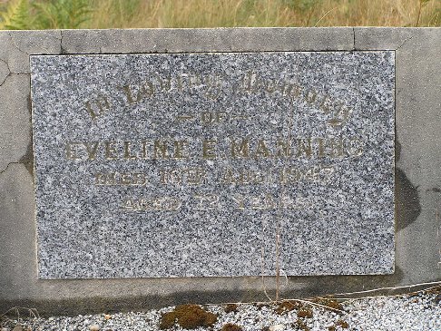 Full-size image